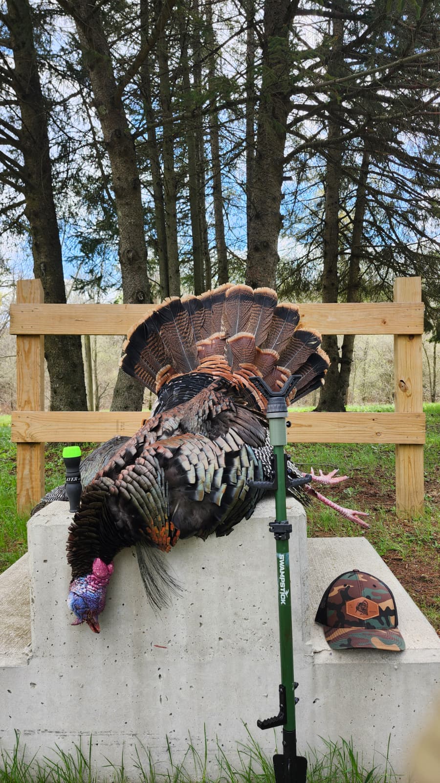 Silent Success: A Southeast Michigan Public Land Turkey Hunt