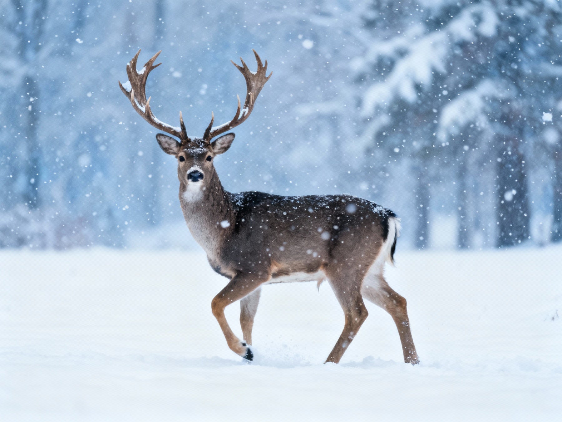 Golf & Game: Built for Those Who Don’t Take Seasons Off